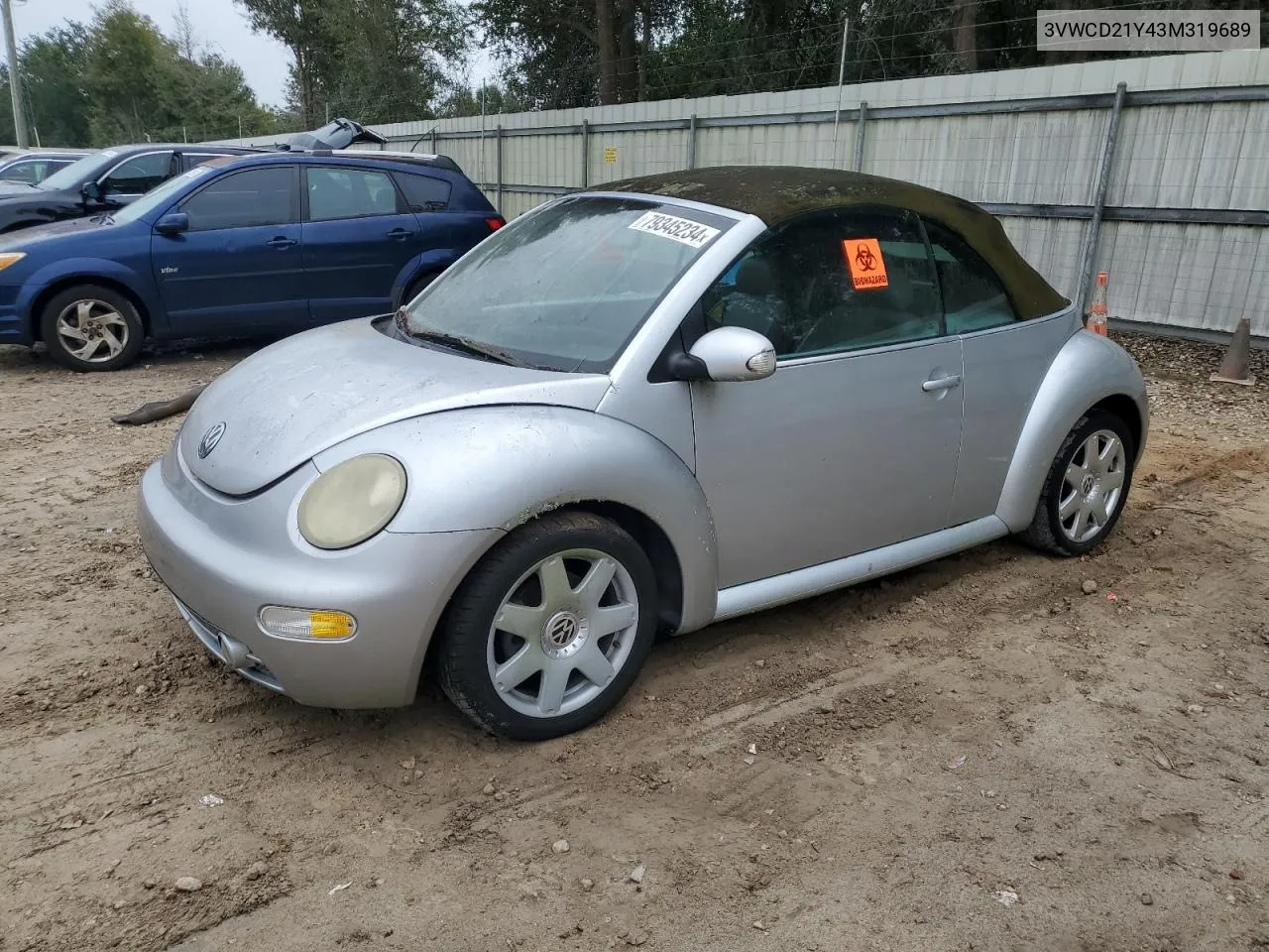 2003 Volkswagen New Beetle Gls VIN: 3VWCD21Y43M319689 Lot: 79345234