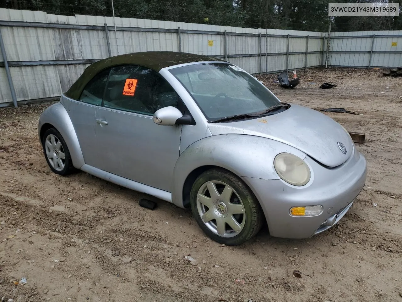 2003 Volkswagen New Beetle Gls VIN: 3VWCD21Y43M319689 Lot: 79345234