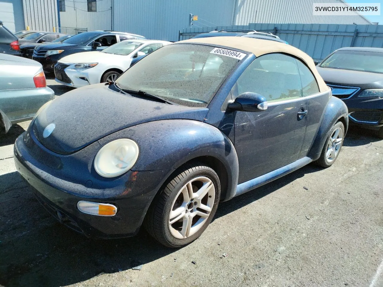 2004 Volkswagen New Beetle Gls VIN: 3VWCD31Y14M325795 Lot: 66508994