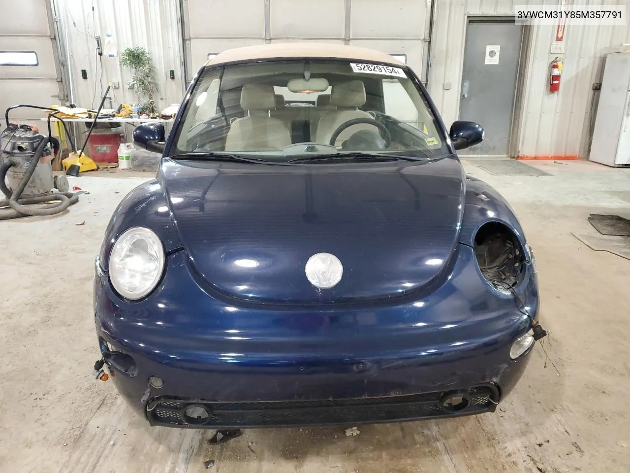 3VWCM31Y85M357791 2005 Volkswagen New Beetle Gls