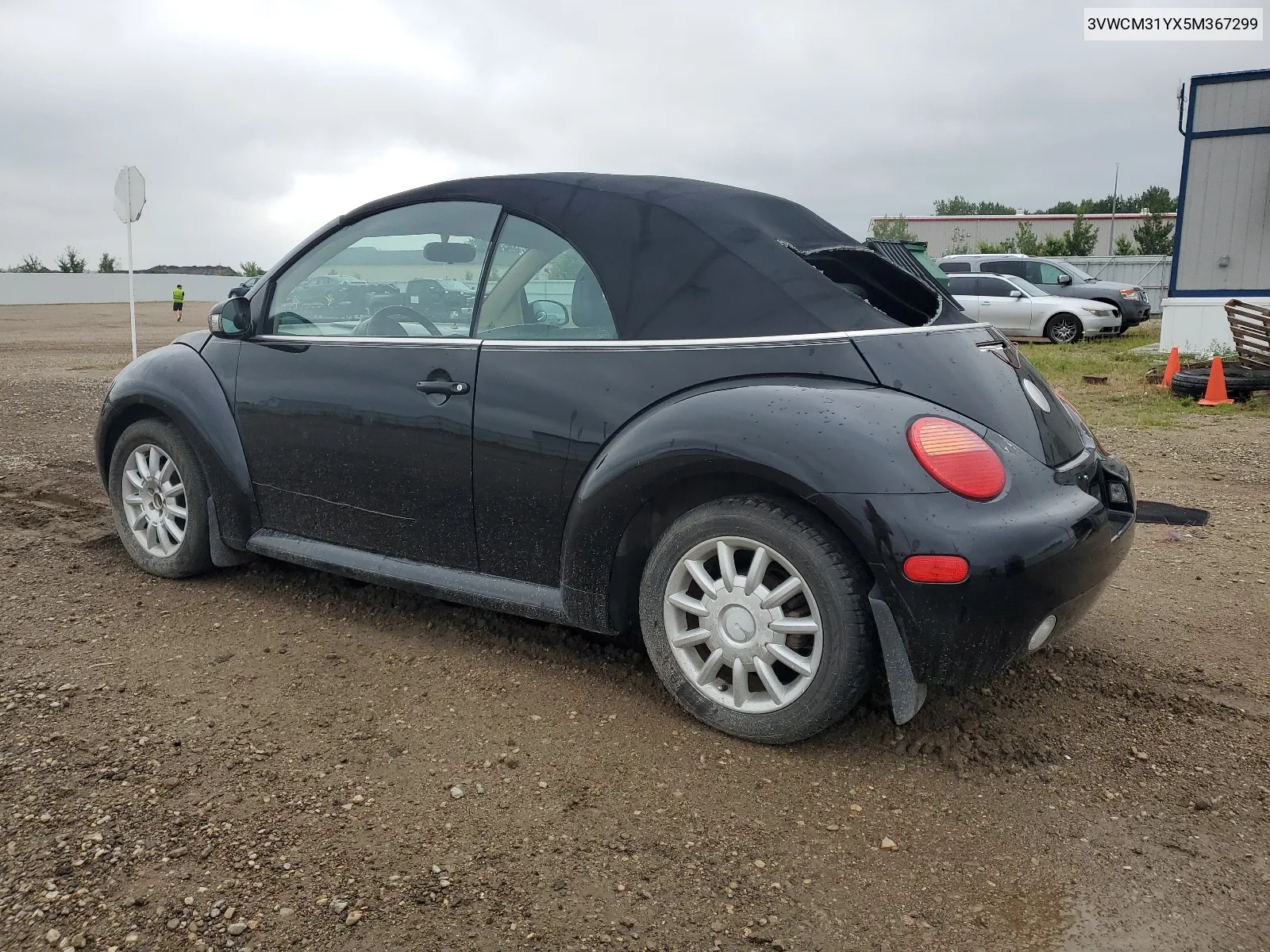 3VWCM31YX5M367299 2005 Volkswagen New Beetle Gls