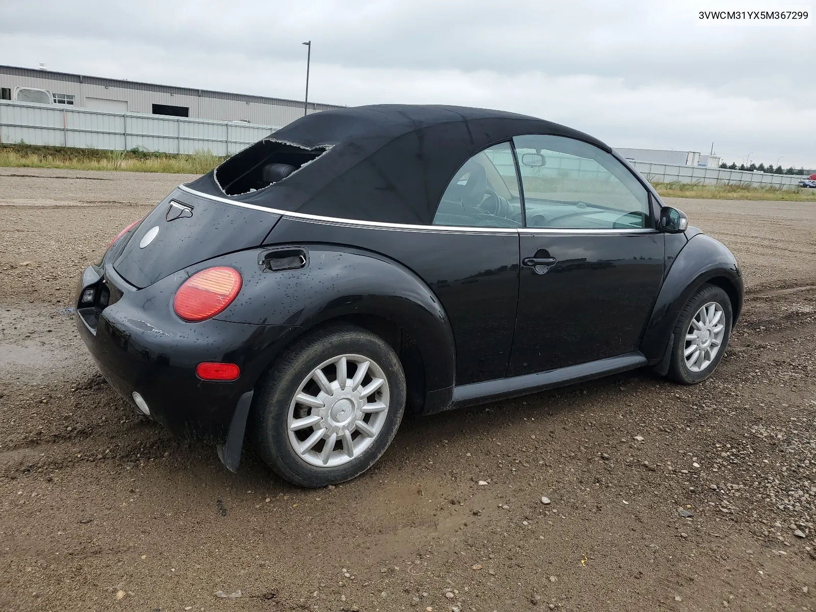 3VWCM31YX5M367299 2005 Volkswagen New Beetle Gls