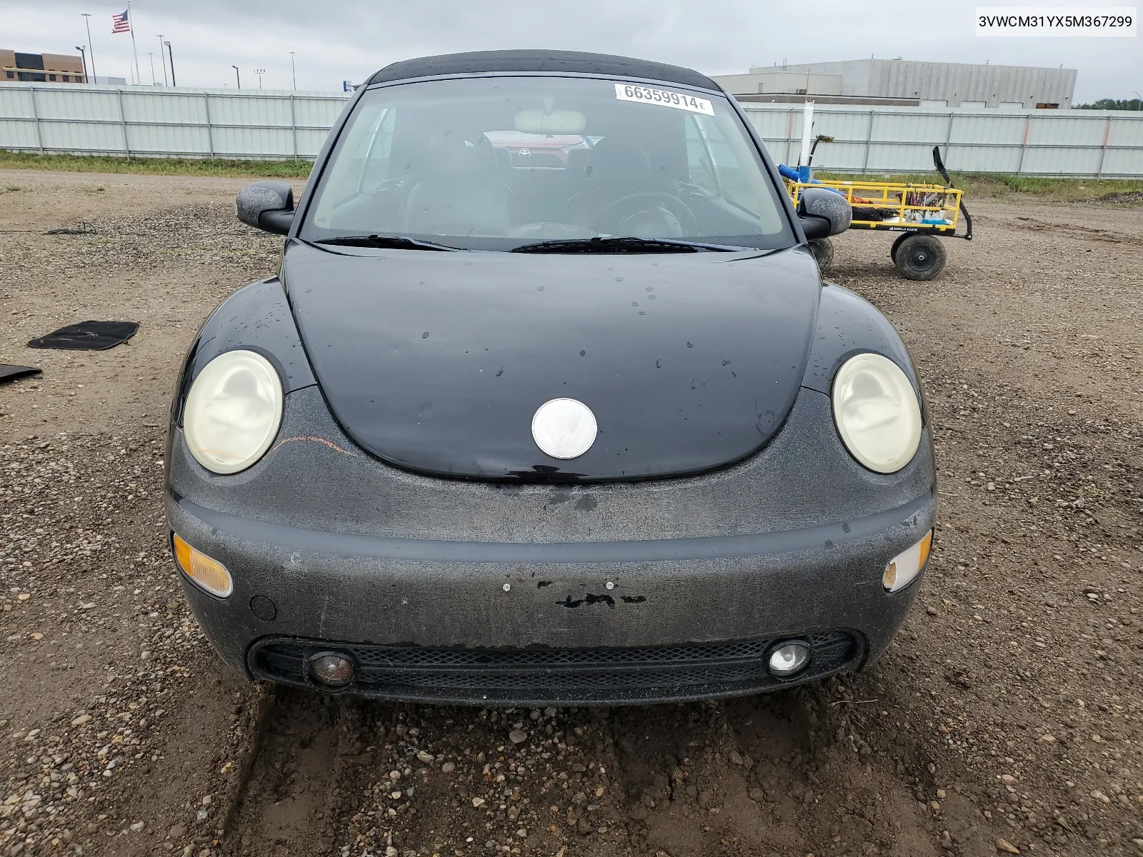 2005 Volkswagen New Beetle Gls VIN: 3VWCM31YX5M367299 Lot: 66359914