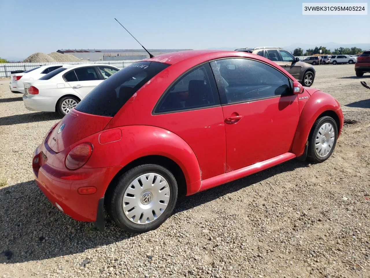 2005 Volkswagen New Beetle Gl VIN: 3VWBK31C95M405224 Lot: 67135284