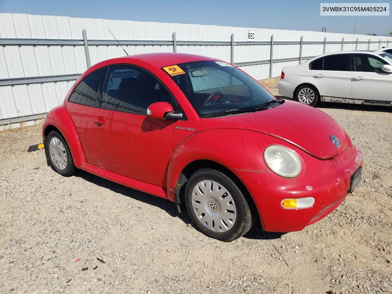 2005 Volkswagen New Beetle Gl VIN: 3VWBK31C95M405224 Lot: 67135284