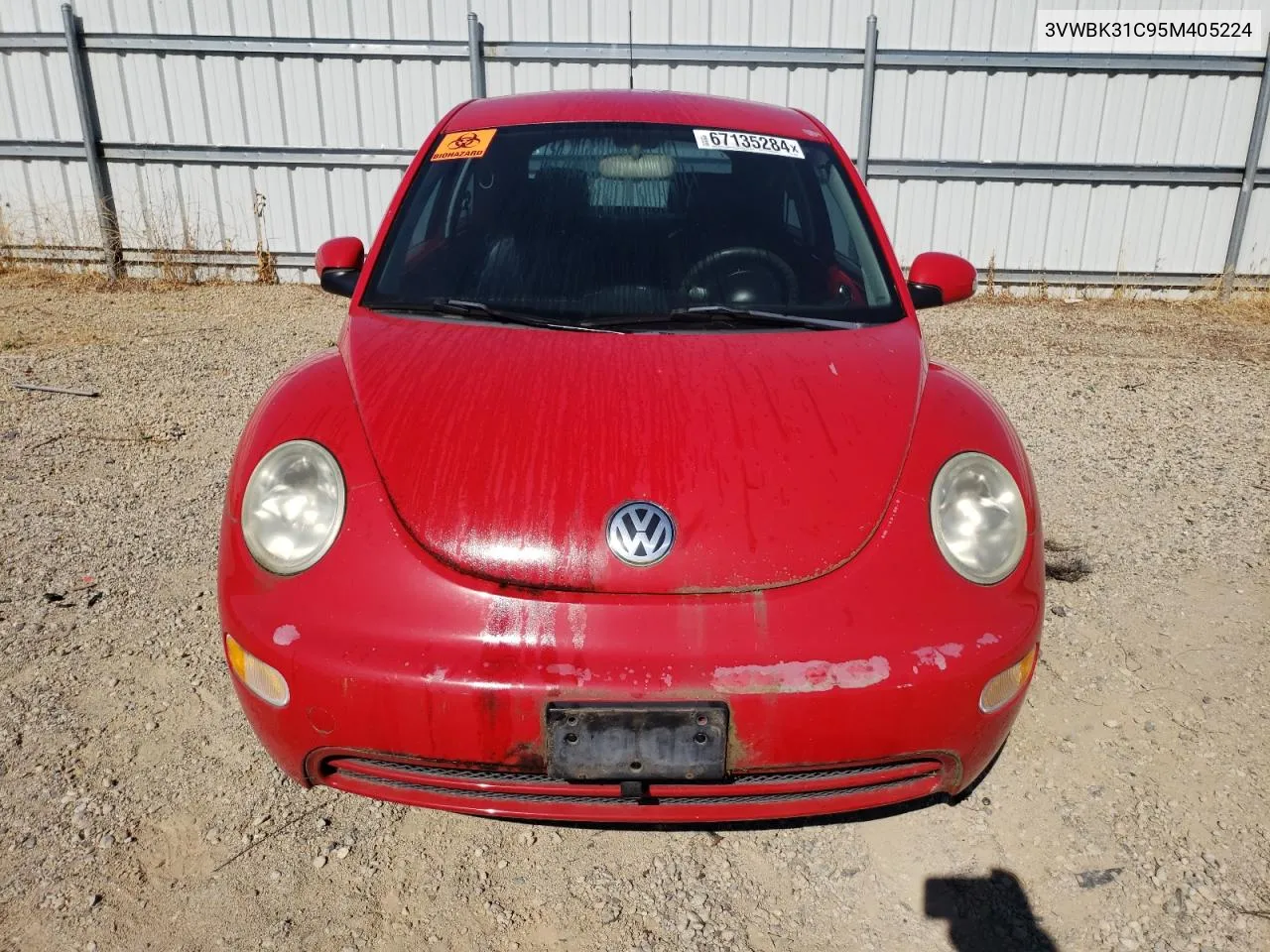 2005 Volkswagen New Beetle Gl VIN: 3VWBK31C95M405224 Lot: 67135284