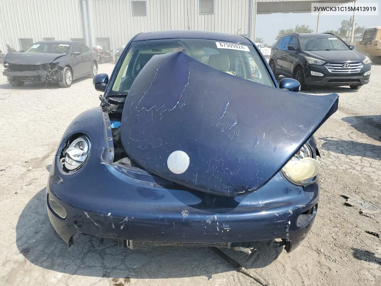 2005 Volkswagen New Beetle Gls VIN: 3VWCK31C15M413919 Lot: 67509824