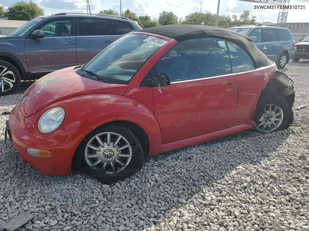 2005 Volkswagen New Beetle Gls VIN: 3VWCM31Y55M310721 Lot: 71562384