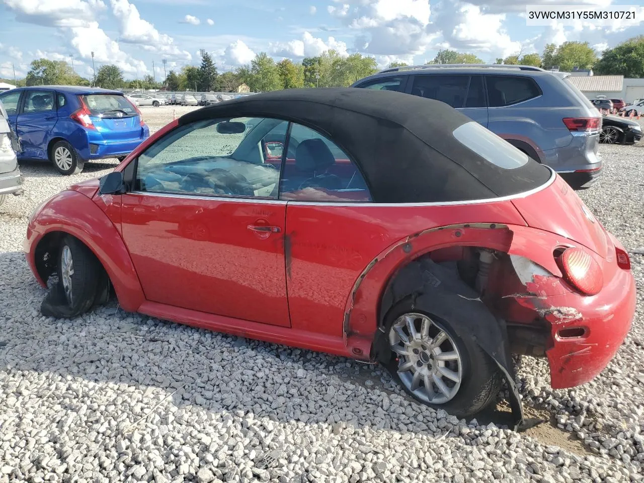 2005 Volkswagen New Beetle Gls VIN: 3VWCM31Y55M310721 Lot: 71562384