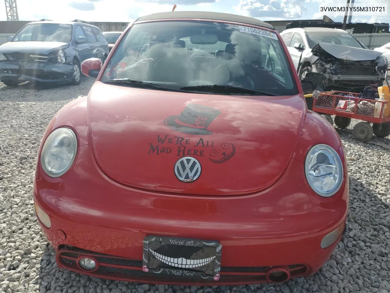 2005 Volkswagen New Beetle Gls VIN: 3VWCM31Y55M310721 Lot: 71562384