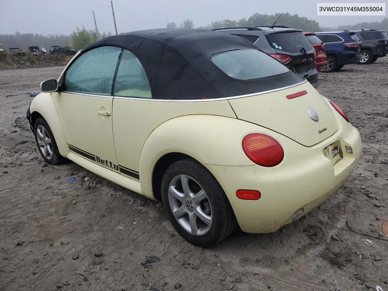 2005 Volkswagen New Beetle Gls VIN: 3VWCD31Y45M355004 Lot: 72431264