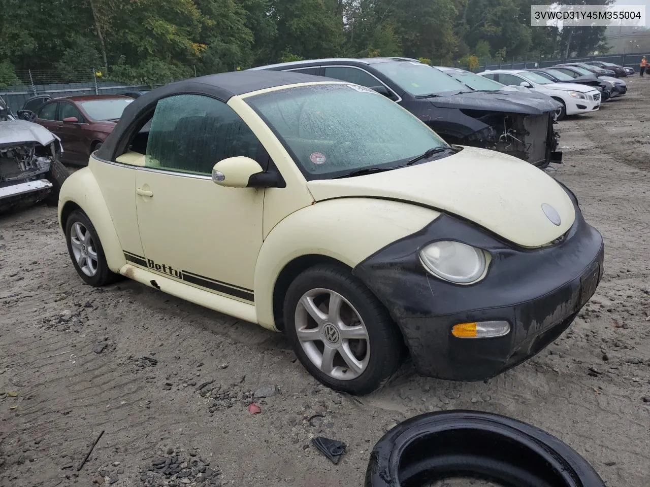 2005 Volkswagen New Beetle Gls VIN: 3VWCD31Y45M355004 Lot: 72431264