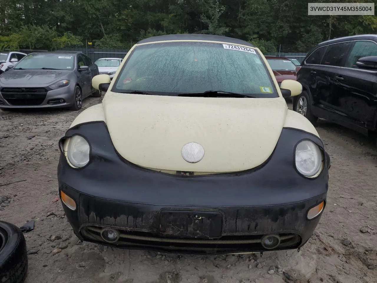 2005 Volkswagen New Beetle Gls VIN: 3VWCD31Y45M355004 Lot: 72431264