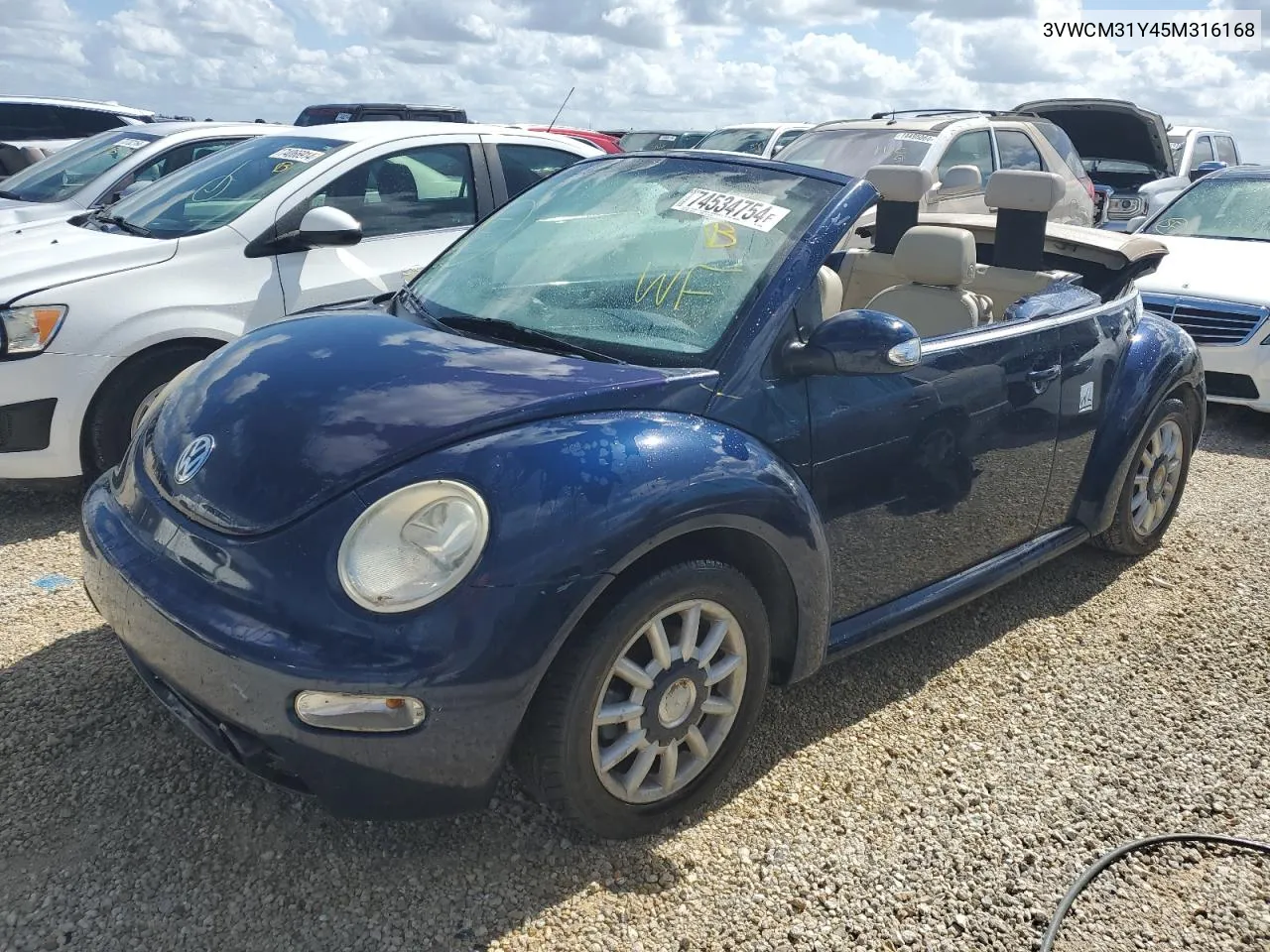 2005 Volkswagen New Beetle Gls VIN: 3VWCM31Y45M316168 Lot: 74534754