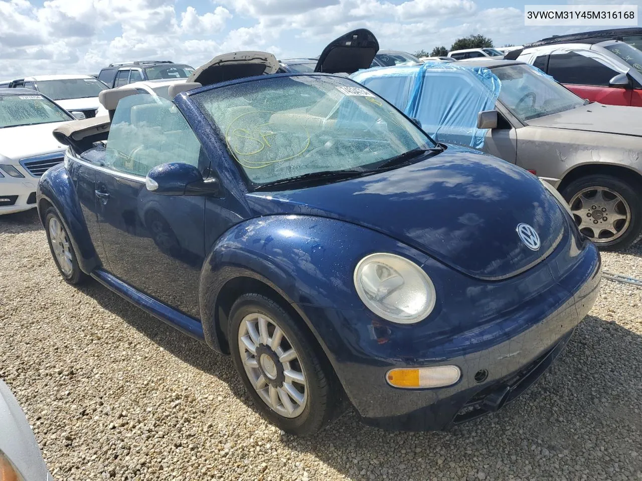 2005 Volkswagen New Beetle Gls VIN: 3VWCM31Y45M316168 Lot: 74534754