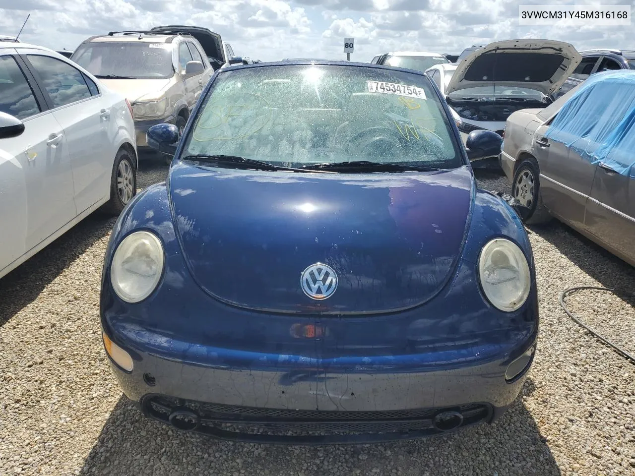 2005 Volkswagen New Beetle Gls VIN: 3VWCM31Y45M316168 Lot: 74534754