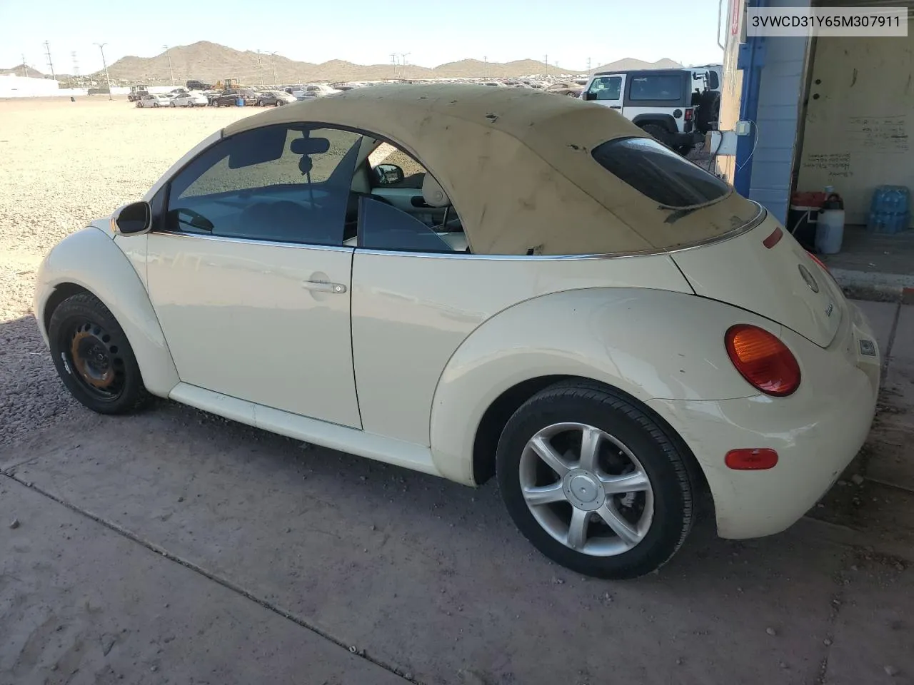 2005 Volkswagen New Beetle Gls VIN: 3VWCD31Y65M307911 Lot: 75552614