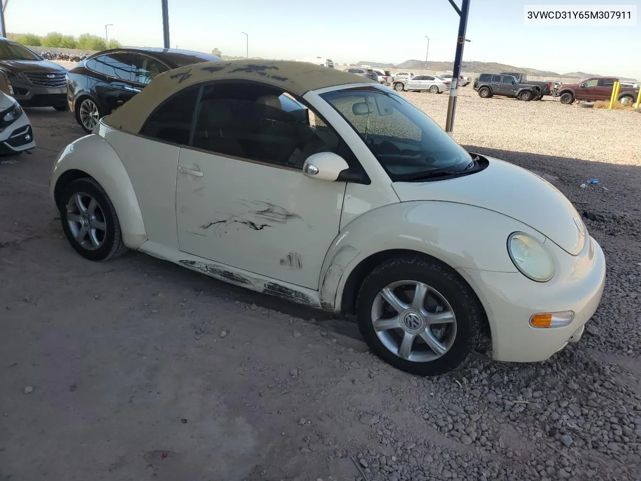 2005 Volkswagen New Beetle Gls VIN: 3VWCD31Y65M307911 Lot: 75552614