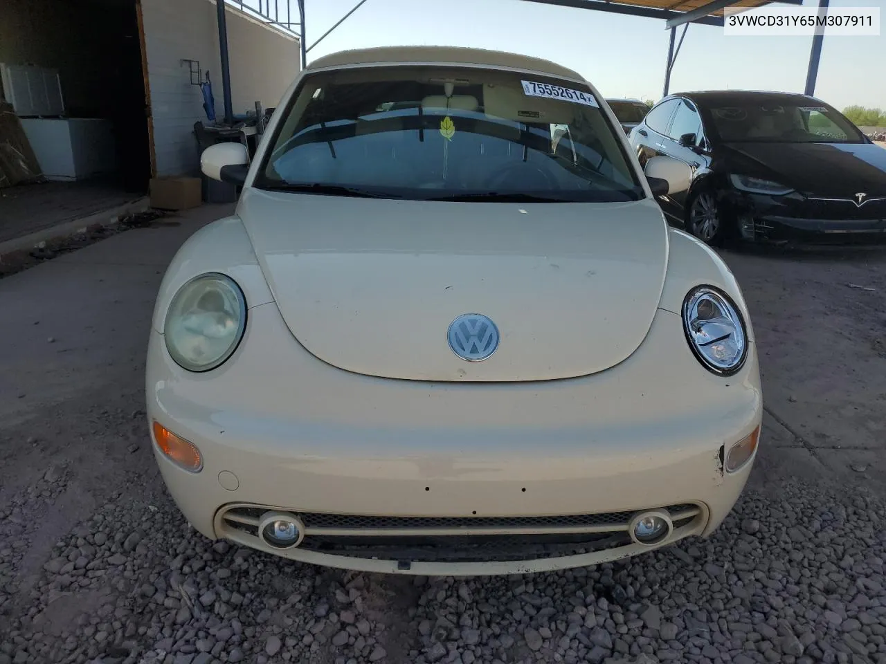 2005 Volkswagen New Beetle Gls VIN: 3VWCD31Y65M307911 Lot: 75552614