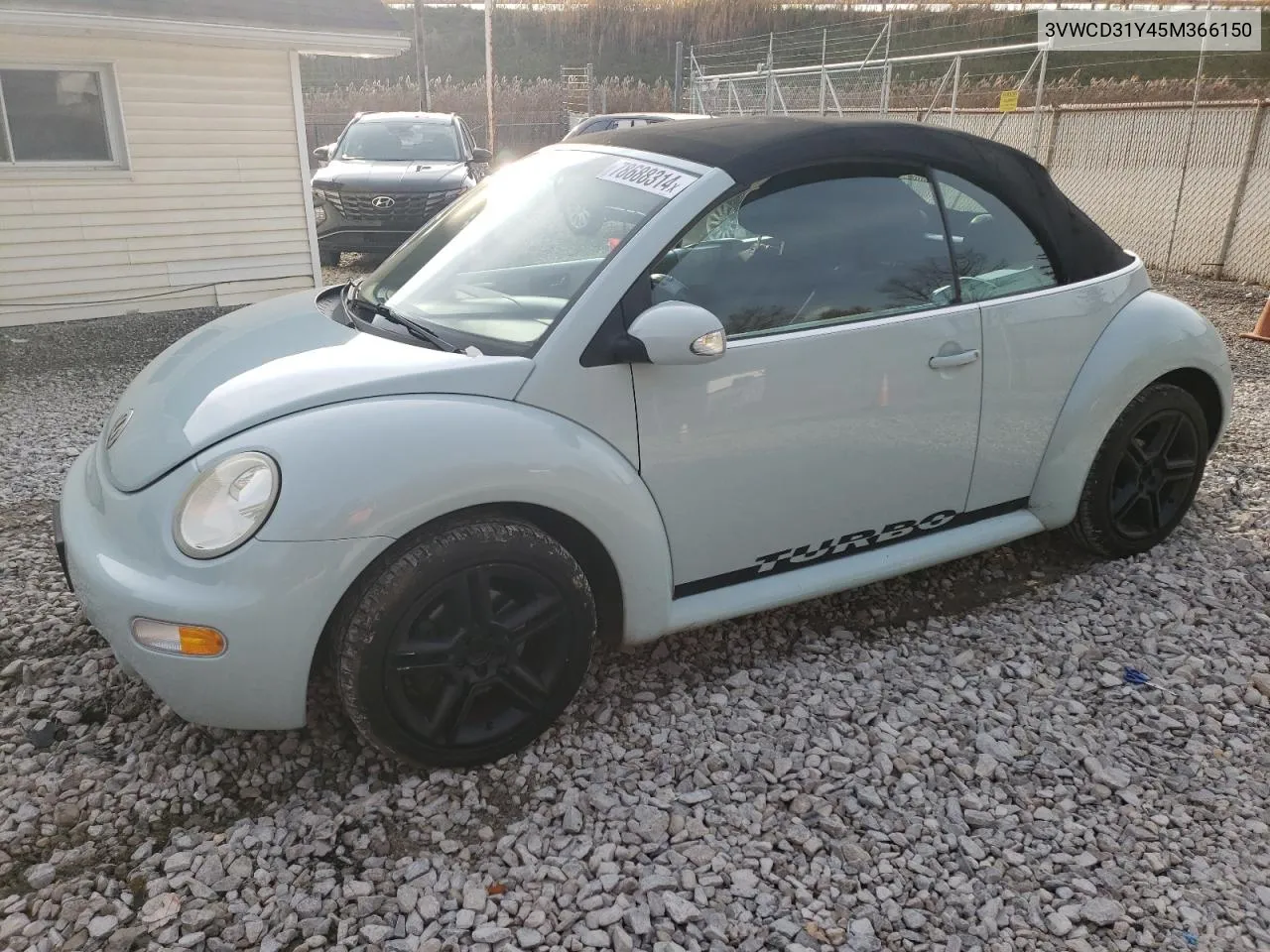 2005 Volkswagen New Beetle Gls VIN: 3VWCD31Y45M366150 Lot: 78688314