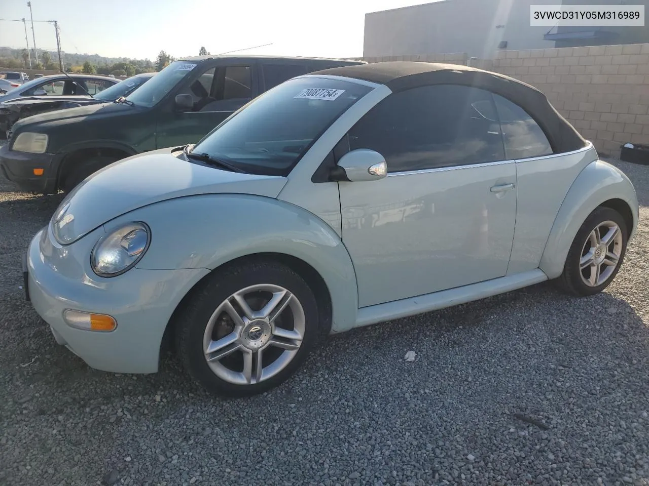 2005 Volkswagen New Beetle Gls VIN: 3VWCD31Y05M316989 Lot: 79087754