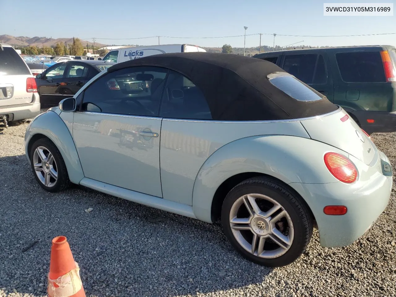 2005 Volkswagen New Beetle Gls VIN: 3VWCD31Y05M316989 Lot: 79087754