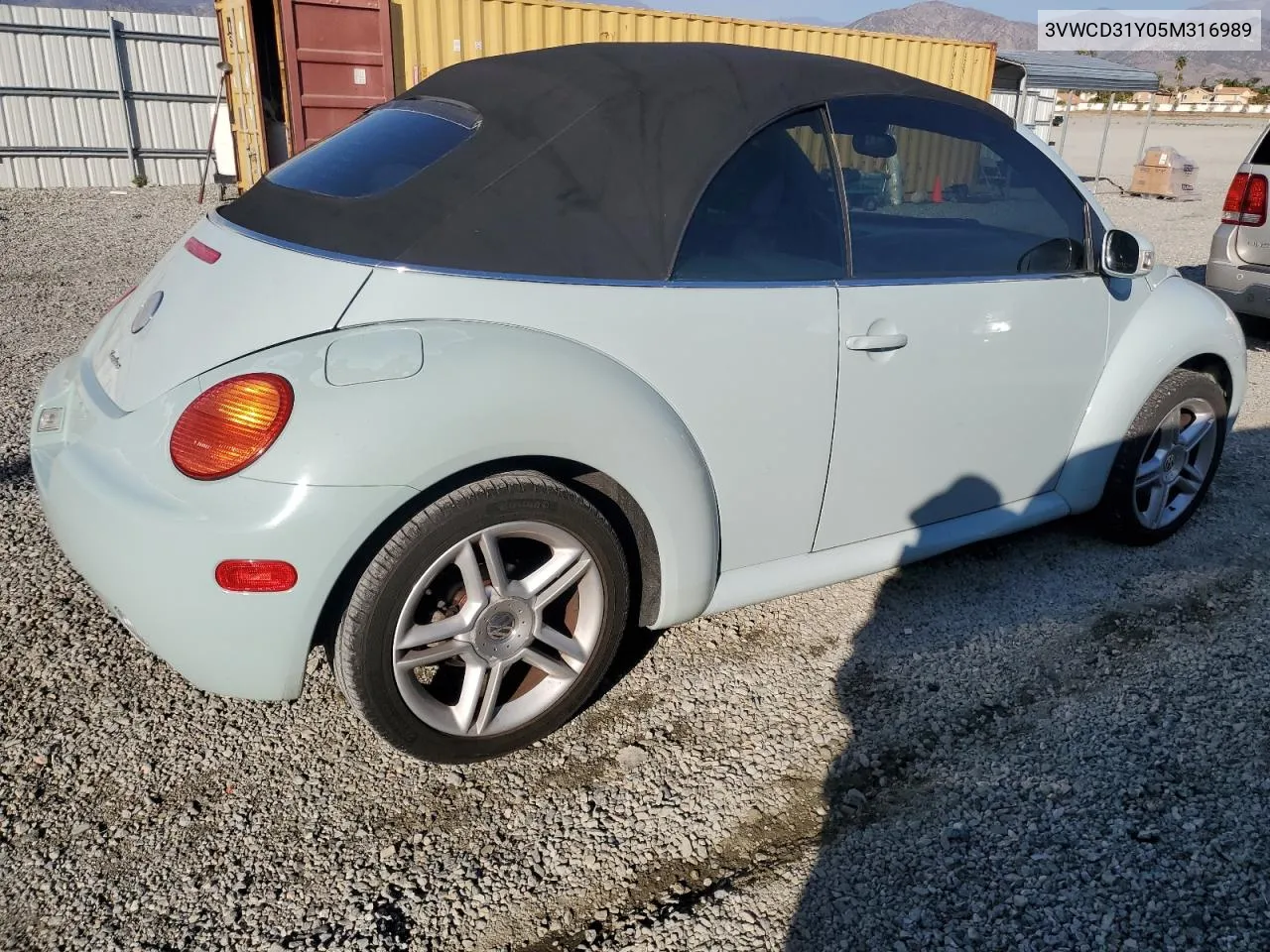 2005 Volkswagen New Beetle Gls VIN: 3VWCD31Y05M316989 Lot: 79087754