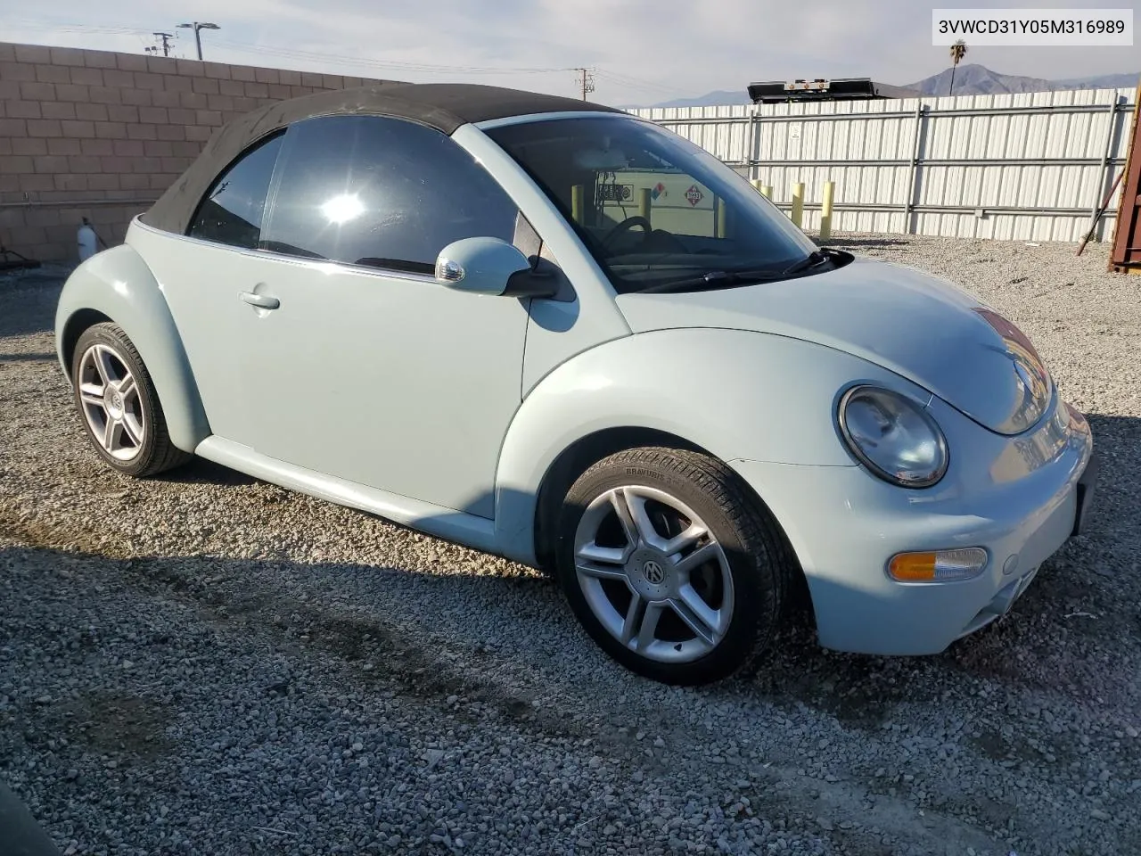 2005 Volkswagen New Beetle Gls VIN: 3VWCD31Y05M316989 Lot: 79087754