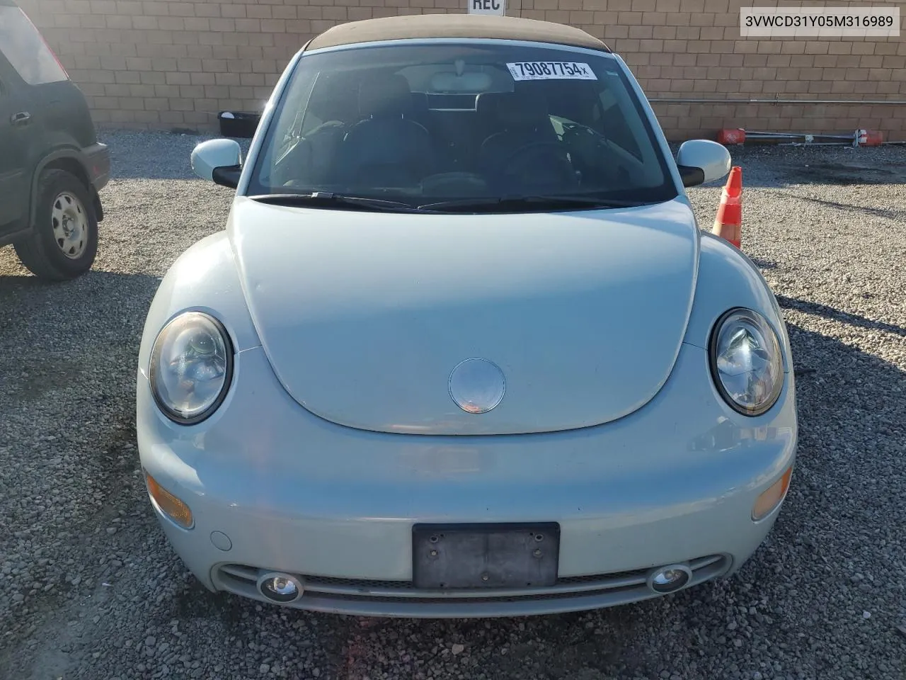 2005 Volkswagen New Beetle Gls VIN: 3VWCD31Y05M316989 Lot: 79087754