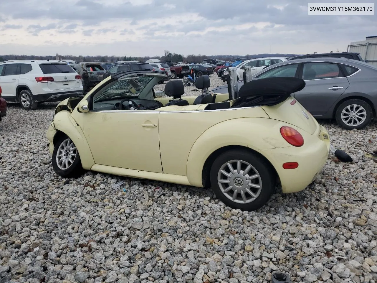 2005 Volkswagen New Beetle Gls VIN: 3VWCM31Y15M362170 Lot: 79407084