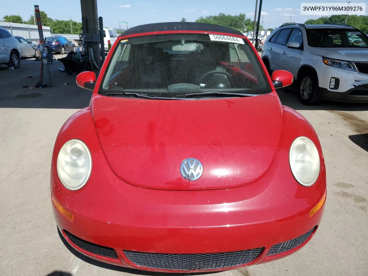 2006 Volkswagen New Beetle Convertible VIN: 3VWPF31Y96M309276 Lot: 56064684