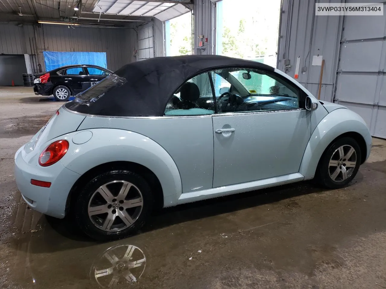 2006 Volkswagen New Beetle Convertible VIN: 3VWPG31Y56M313404 Lot: 68286394