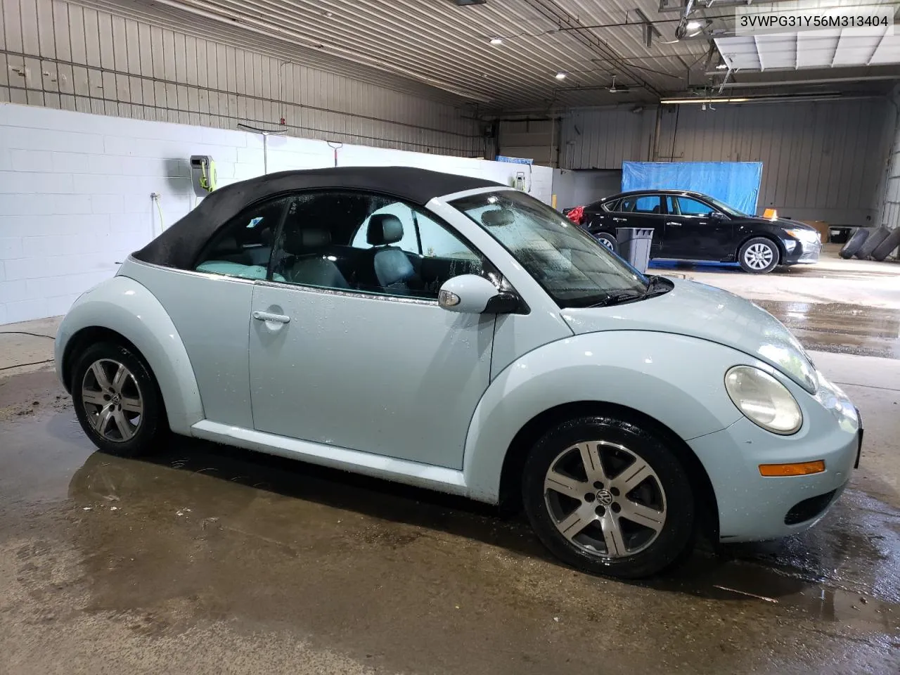 2006 Volkswagen New Beetle Convertible VIN: 3VWPG31Y56M313404 Lot: 68286394