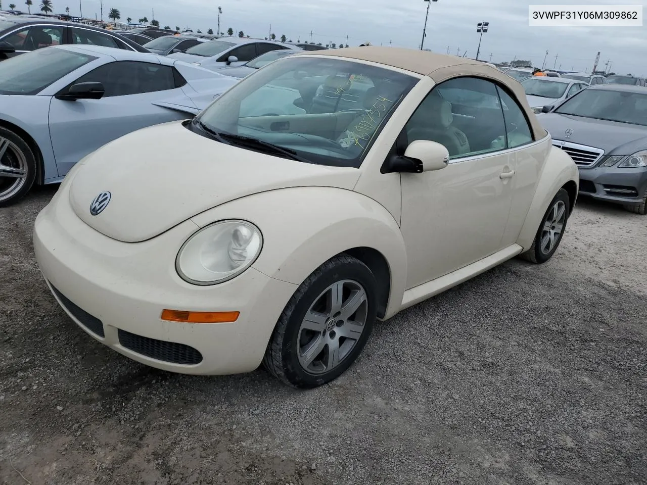 2006 Volkswagen New Beetle Convertible VIN: 3VWPF31Y06M309862 Lot: 76907554