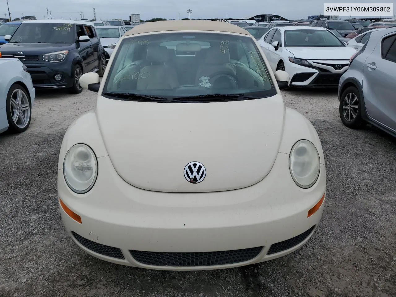 2006 Volkswagen New Beetle Convertible VIN: 3VWPF31Y06M309862 Lot: 76907554