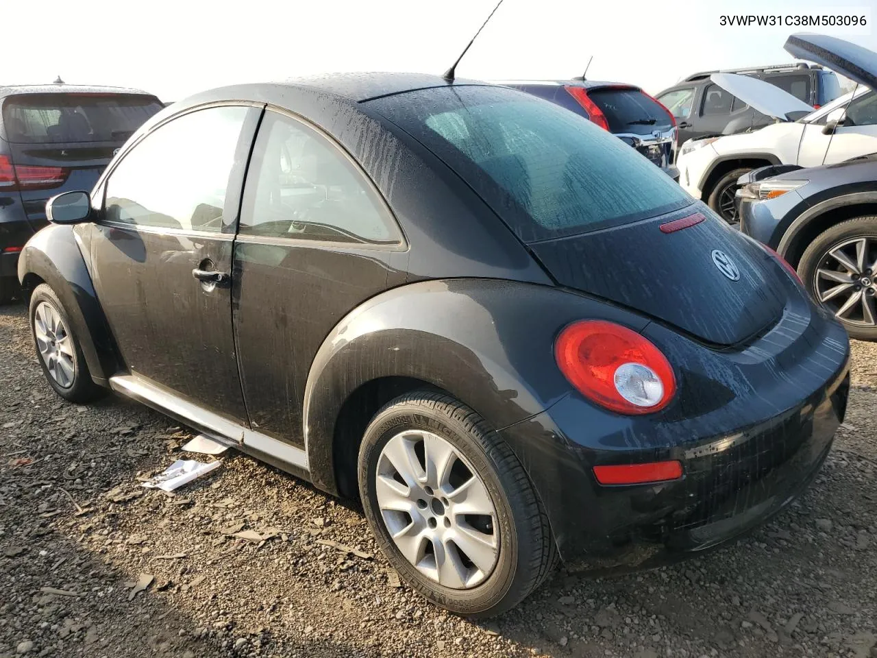 2008 Volkswagen New Beetle S VIN: 3VWPW31C38M503096 Lot: 68381174