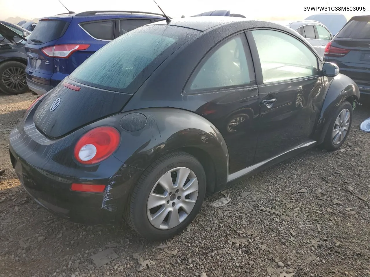 2008 Volkswagen New Beetle S VIN: 3VWPW31C38M503096 Lot: 68381174