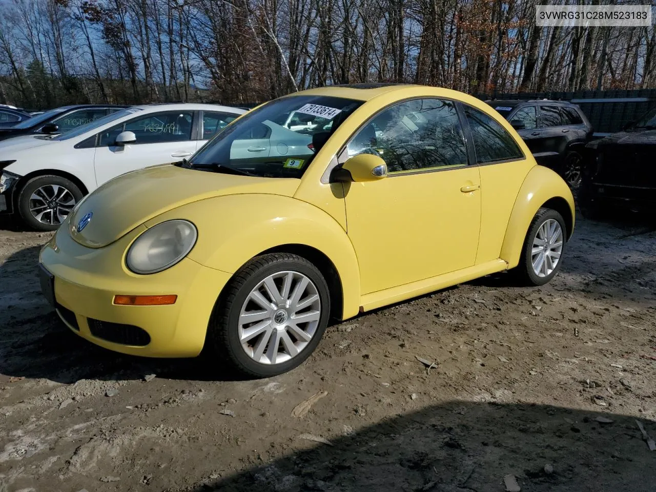 2008 Volkswagen New Beetle S VIN: 3VWRG31C28M523183 Lot: 79133614