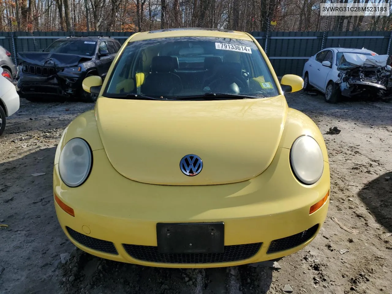 2008 Volkswagen New Beetle S VIN: 3VWRG31C28M523183 Lot: 79133614