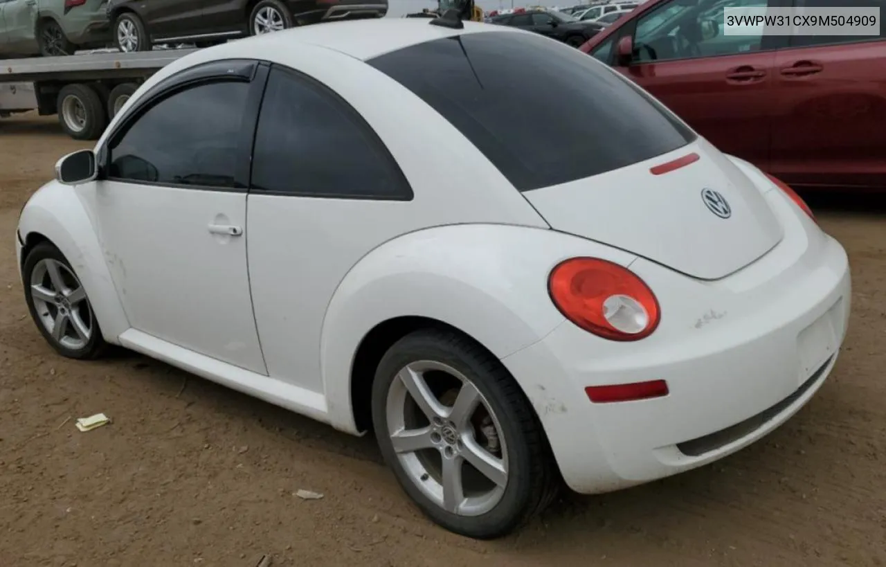 2009 Volkswagen New Beetle S VIN: 3VWPW31CX9M504909 Lot: 66782524