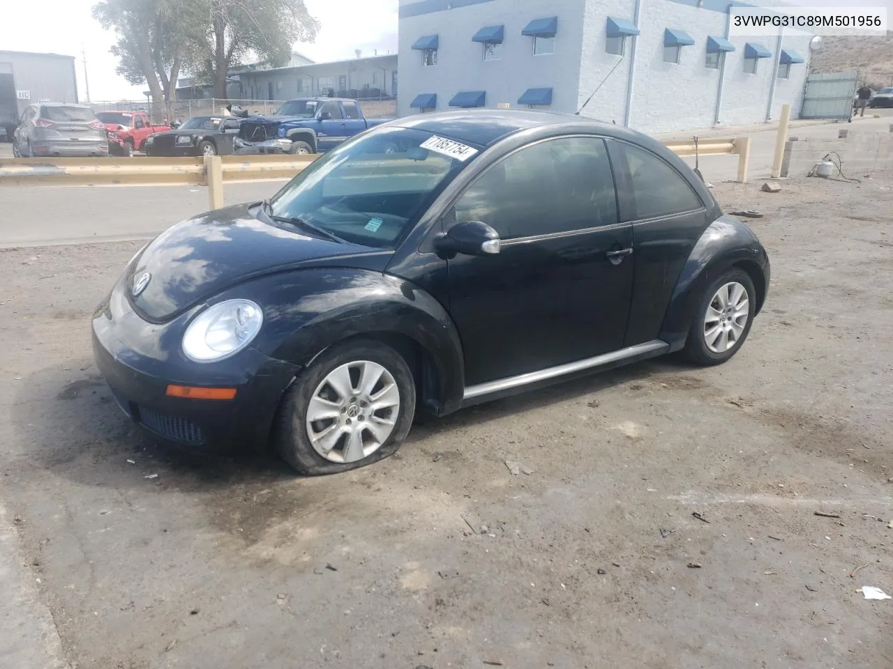 3VWPG31C89M501956 2009 Volkswagen New Beetle S