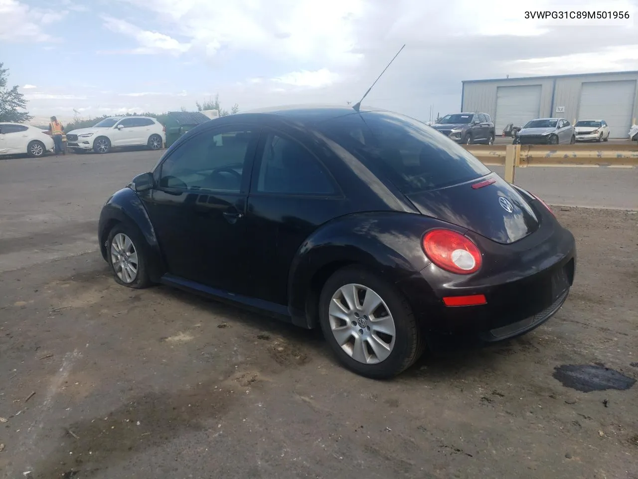 2009 Volkswagen New Beetle S VIN: 3VWPG31C89M501956 Lot: 71857754