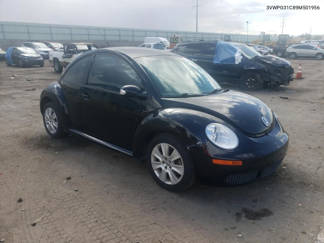 2009 Volkswagen New Beetle S VIN: 3VWPG31C89M501956 Lot: 71857754