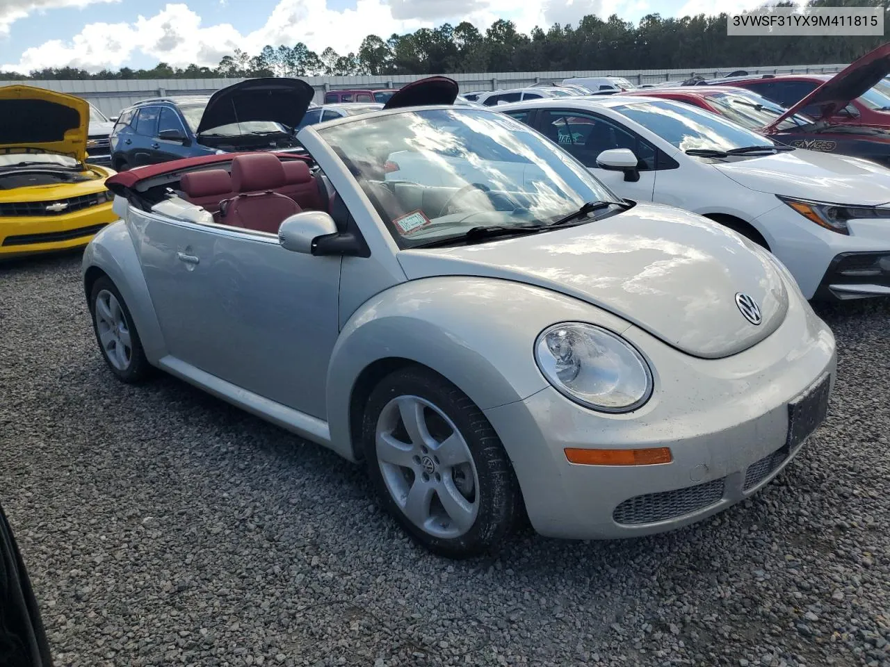 2009 Volkswagen New Beetle Blush Edition VIN: 3VWSF31YX9M411815 Lot: 74392354