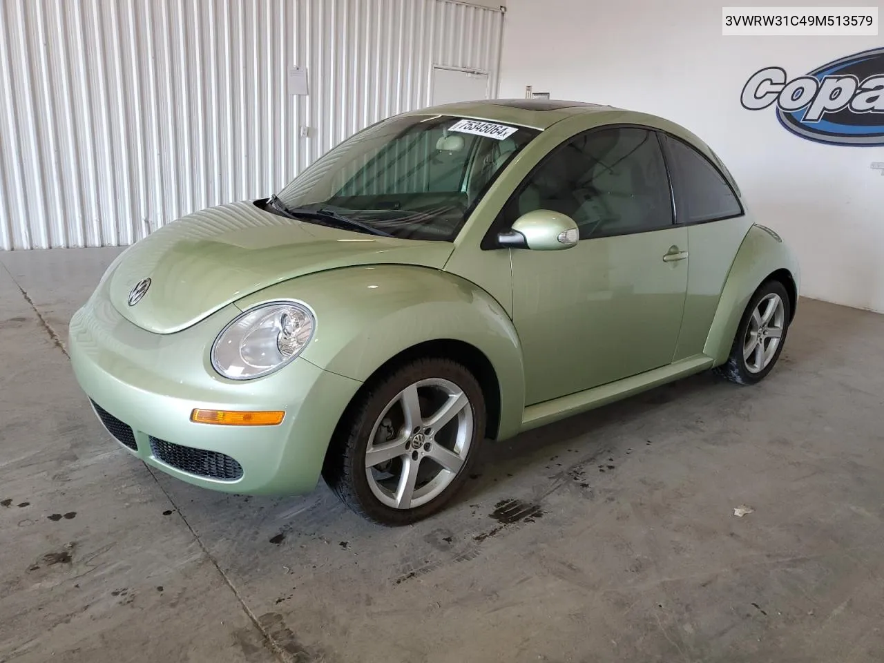 2009 Volkswagen New Beetle S VIN: 3VWRW31C49M513579 Lot: 75345064