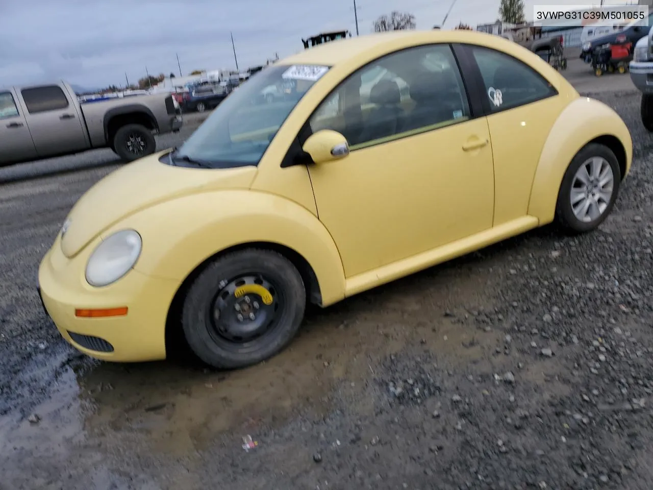 2009 Volkswagen New Beetle S VIN: 3VWPG31C39M501055 Lot: 78957264