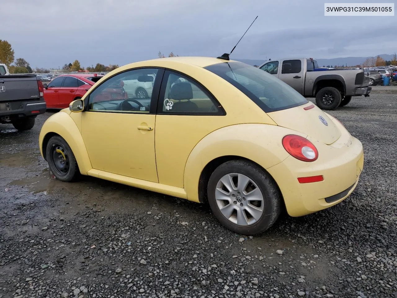 2009 Volkswagen New Beetle S VIN: 3VWPG31C39M501055 Lot: 78957264