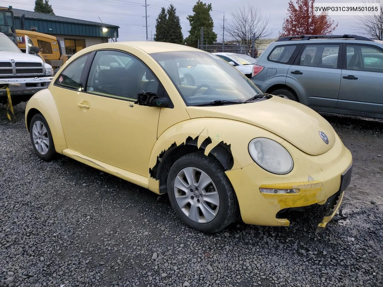 2009 Volkswagen New Beetle S VIN: 3VWPG31C39M501055 Lot: 78957264