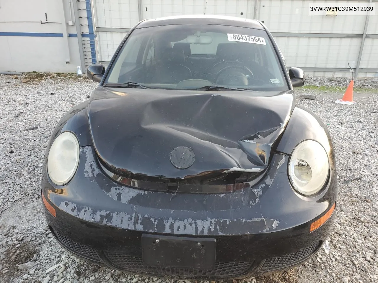 2009 Volkswagen New Beetle S VIN: 3VWRW31C39M512939 Lot: 80437564