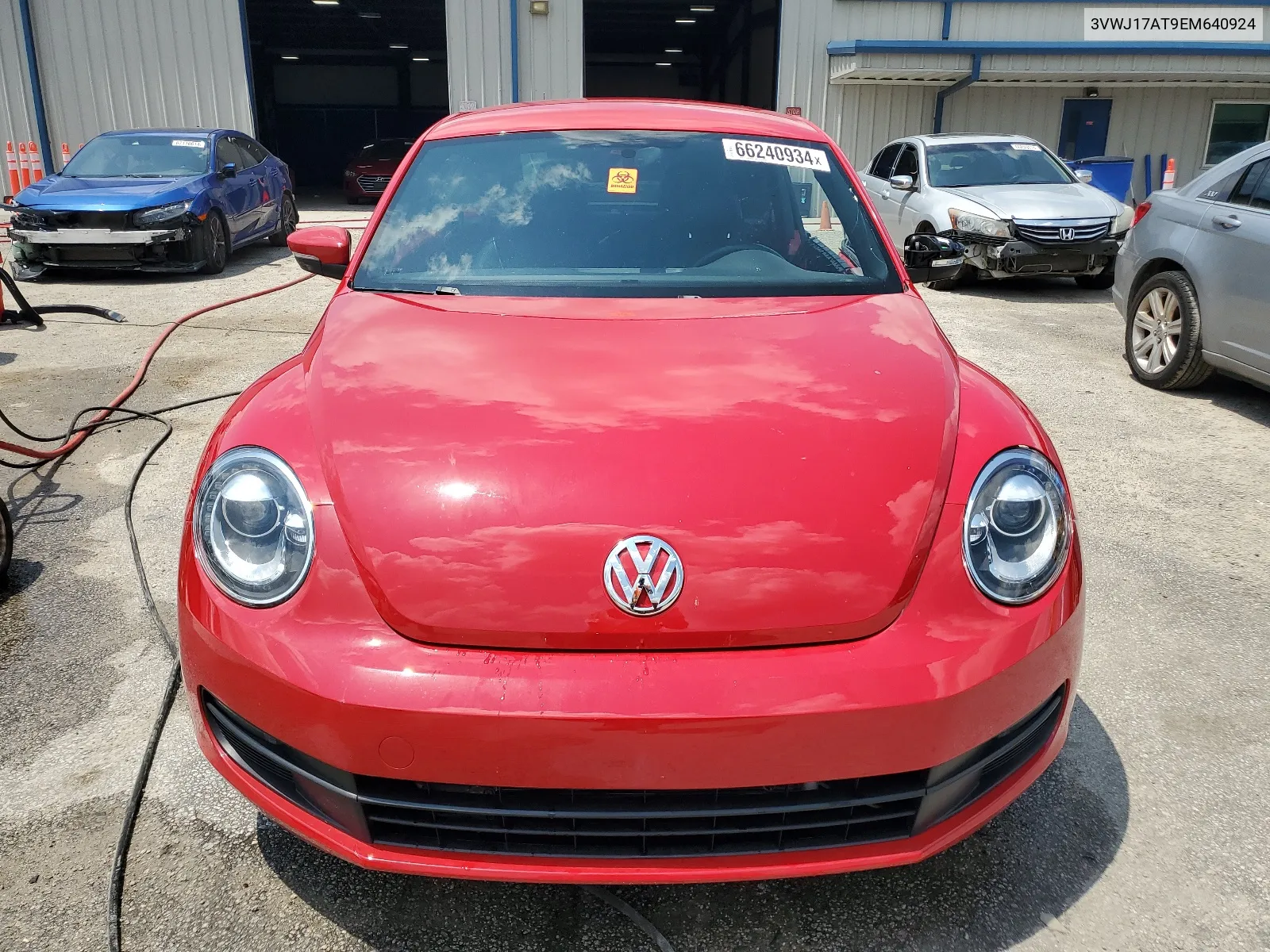 2014 Volkswagen Beetle VIN: 3VWJ17AT9EM640924 Lot: 66240934